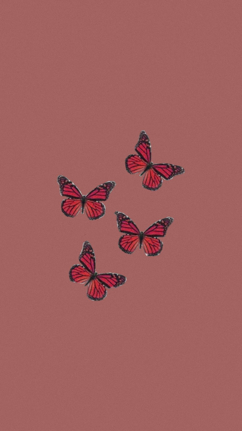Gucci-Schmetterling HD-Handy-Hintergrundbild