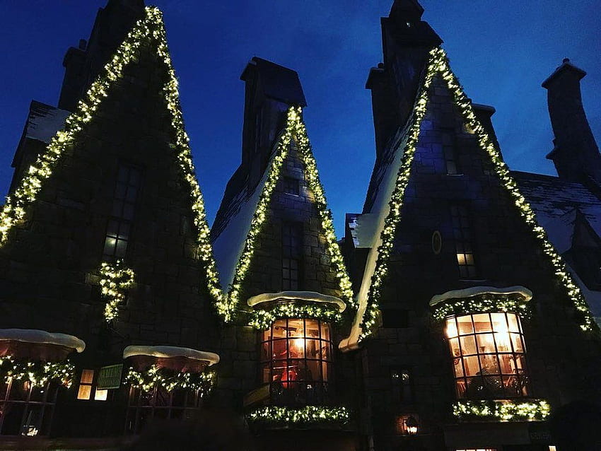 The Austin Harry Potter House is Ready For Christmas!