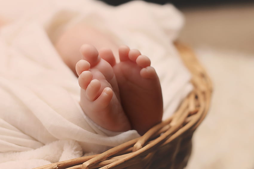 Selective focus of baby’s feet HD wallpaper | Pxfuel