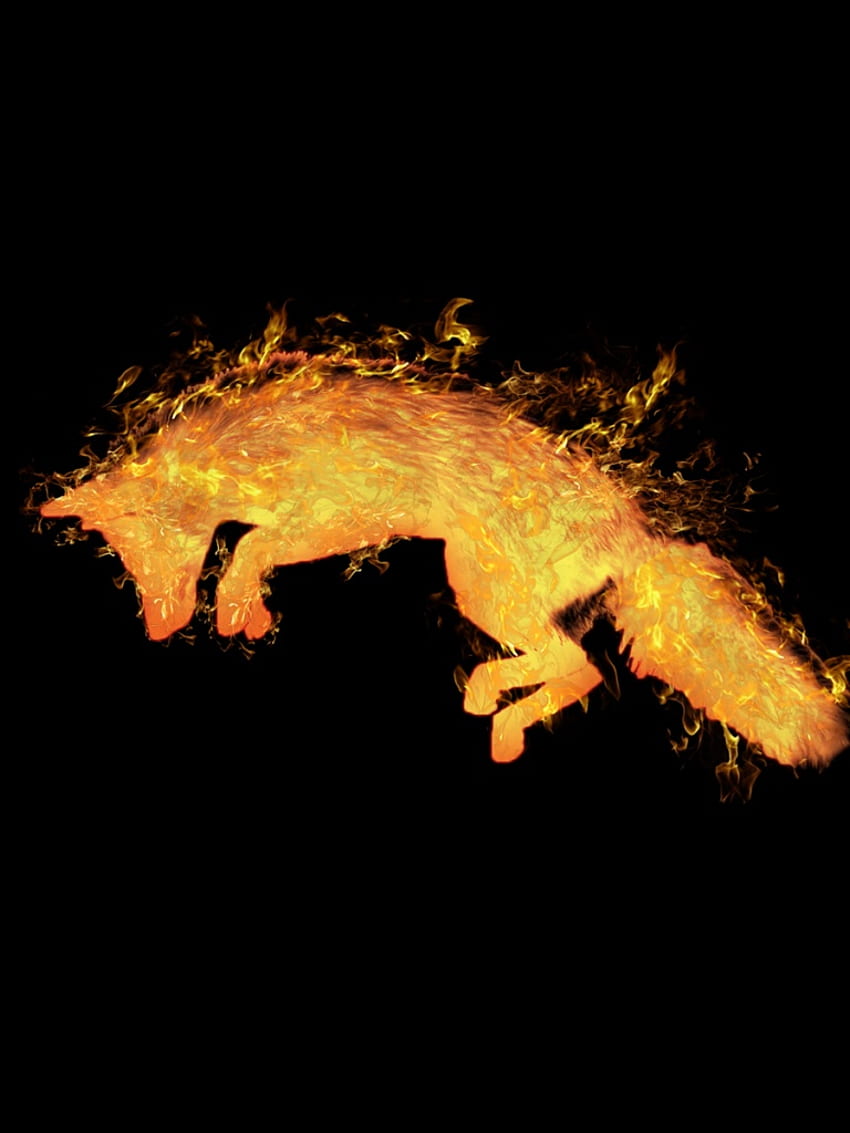 Fire Fox iPad, Flaming Fox HD phone wallpaper