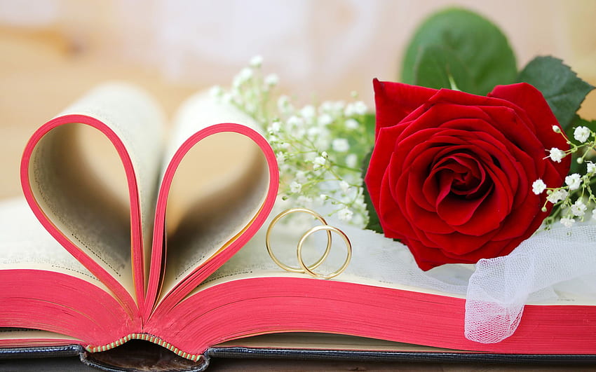 Happy Anniversary . Wedding ring , Wedding background, Red roses HD wallpaper