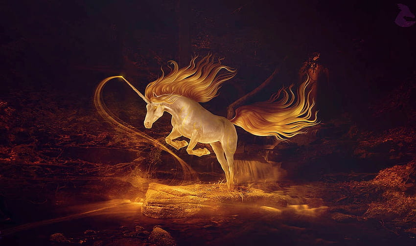 Fantasia Firelight Unicorn, dourado, fantasia, Unicórnio, mágico, místico, arte digital, fogo, selvagem, mítico papel de parede HD