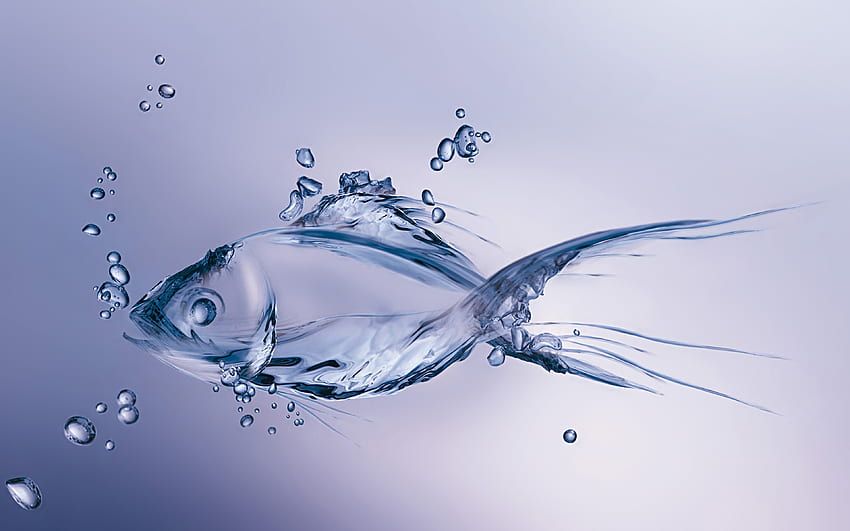 water fish, , creative, underwater world, water figures, fish out of water, fish, water art HD wallpaper