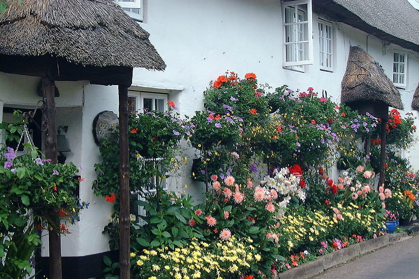 jardim da casa de campo, rosas, casa, jardim, flores, casa de campo papel de parede HD