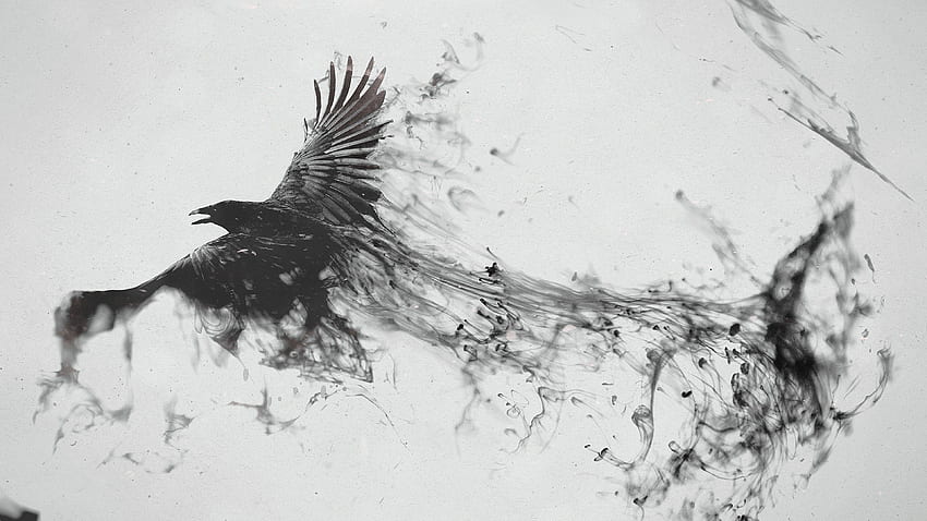 Raven Bird Art kruk, sztuka cyfrowa, ptak, artysta, sztuka. Sztuka ptaka, tatuaż latającego ptaka, sztuka Kruka Tapeta HD