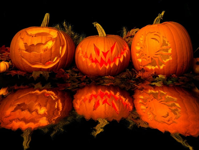 Pumpkins, pumpkin, halloween HD wallpaper