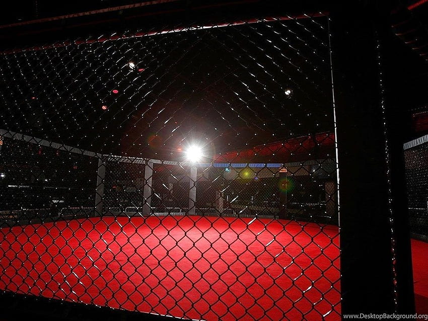 Top-UFC-Käfig für Pinterest-Hintergrund HD-Hintergrundbild