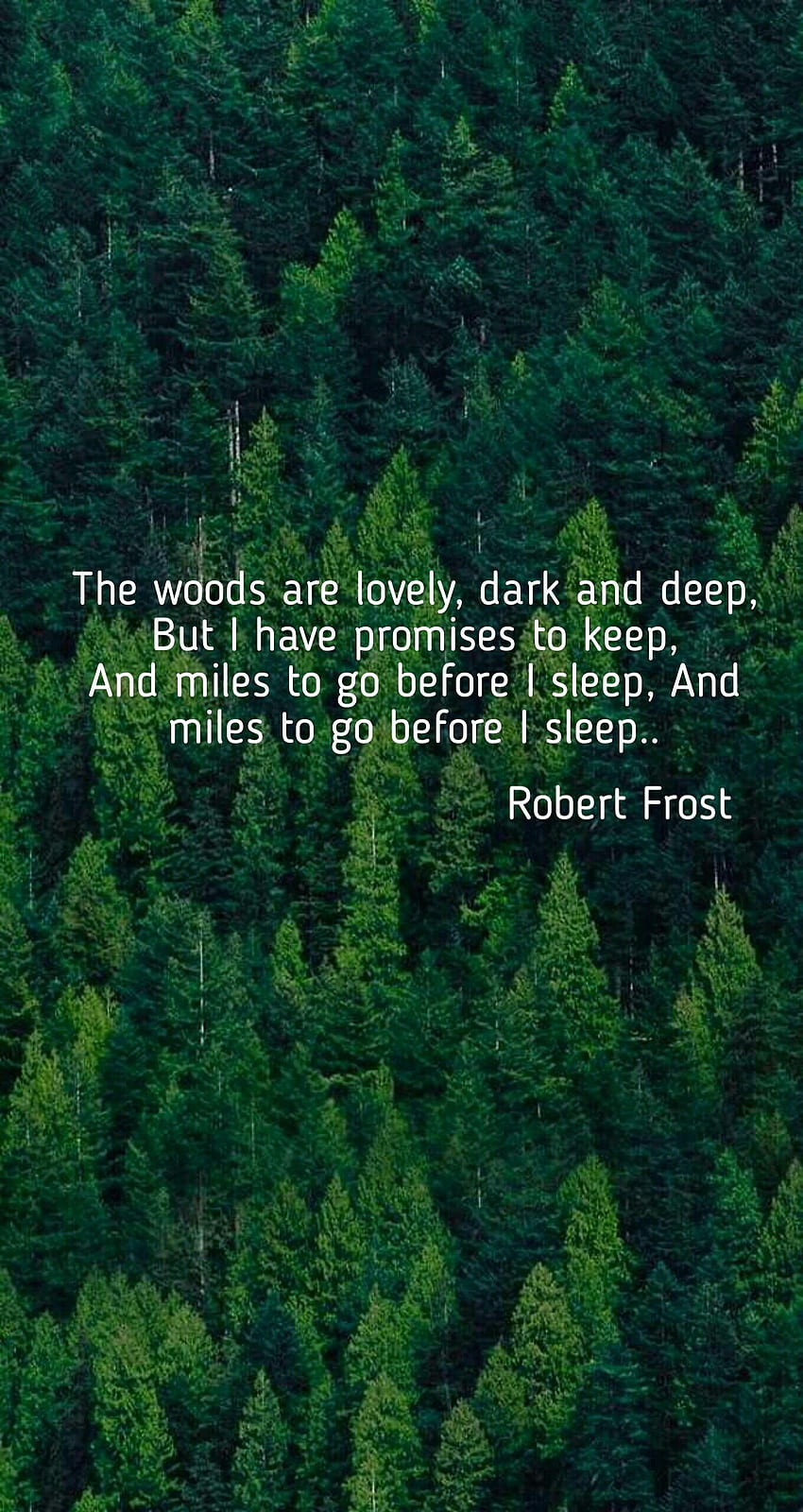 The woods are lovely, dark and deep, But I have promises to keep,. And miles to go before I sl. Before i sleep, Best nature , Nature , Robert Frost HD phone wallpaper