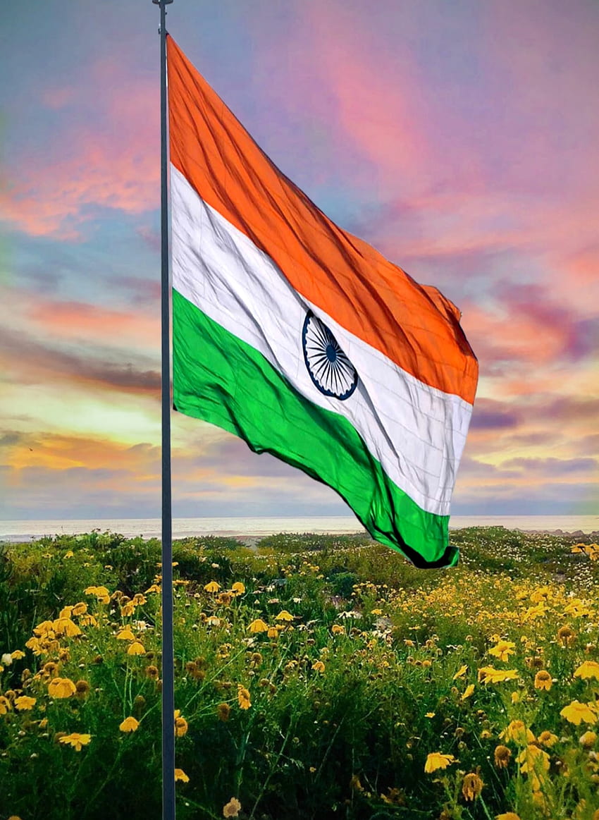 9298 Indian Flag Nature Images Stock Photos  Vectors  Shutterstock