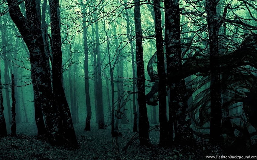 de bosque denso oscuro, camino de bosque oscuro grande fondo de pantalla