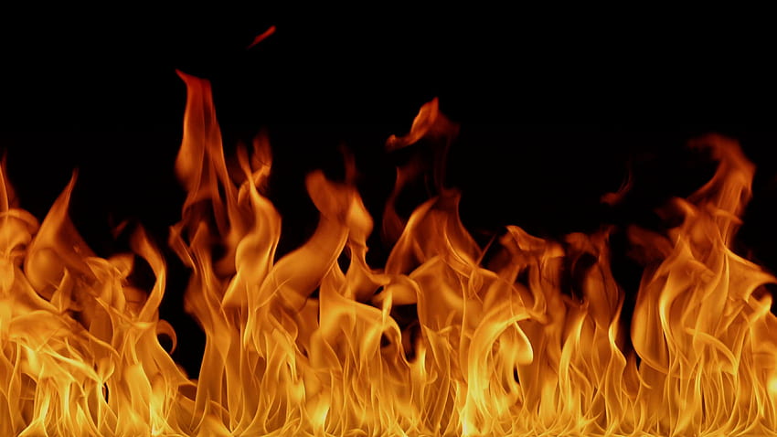 Api Tinggi. Kualitas Tinggi, Definisi Tinggi Berbahaya dan Definisi Tinggi yang Mengerikan, Api Lucu Wallpaper HD