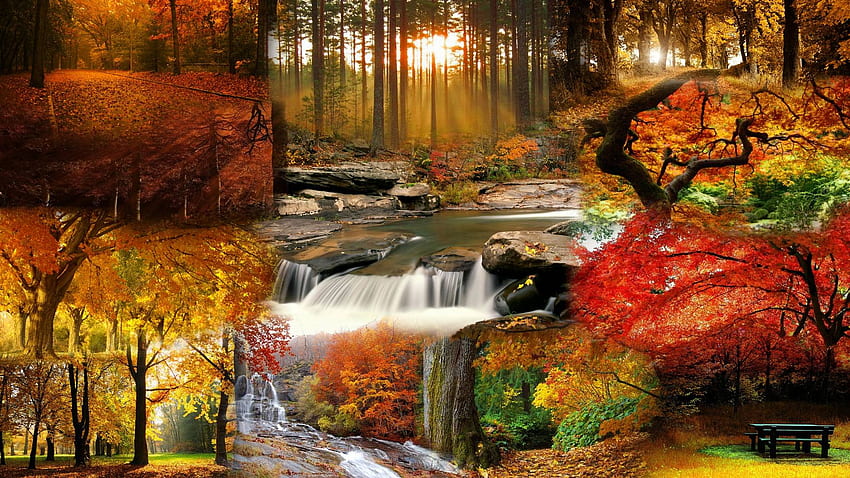 美しい風景 - 美しい秋の風景, 秋の 高画質の壁紙