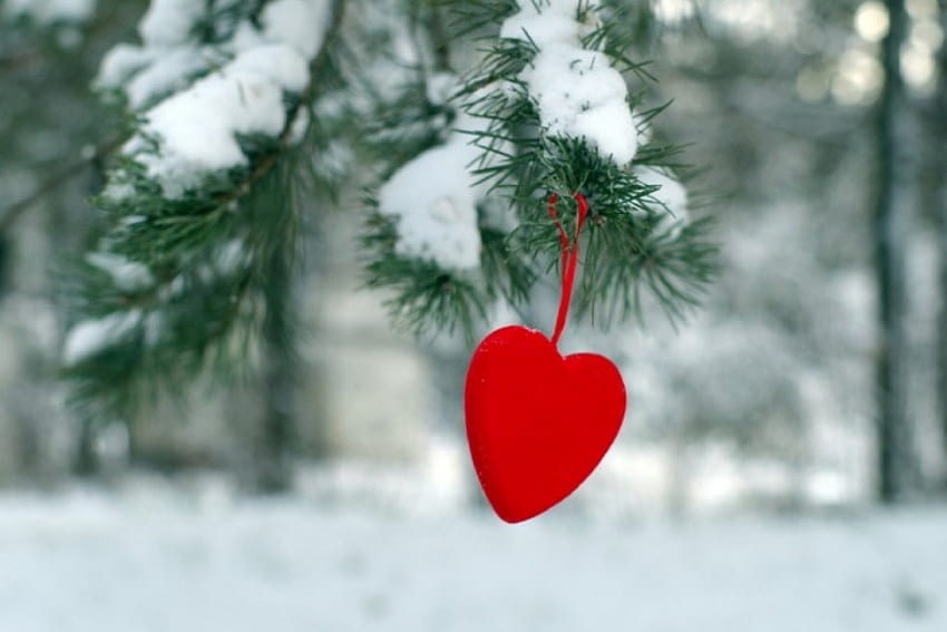 Winter, winter, snowflake, graphy, snow, beautiful, heart, lovely HD wallpaper