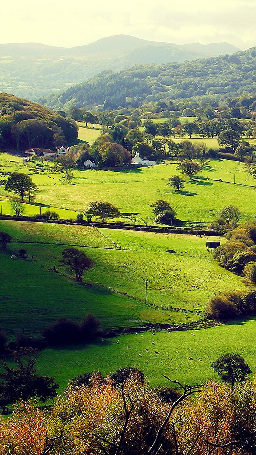Countryside 4K wallpapers for your desktop or mobile screen free and easy  to download