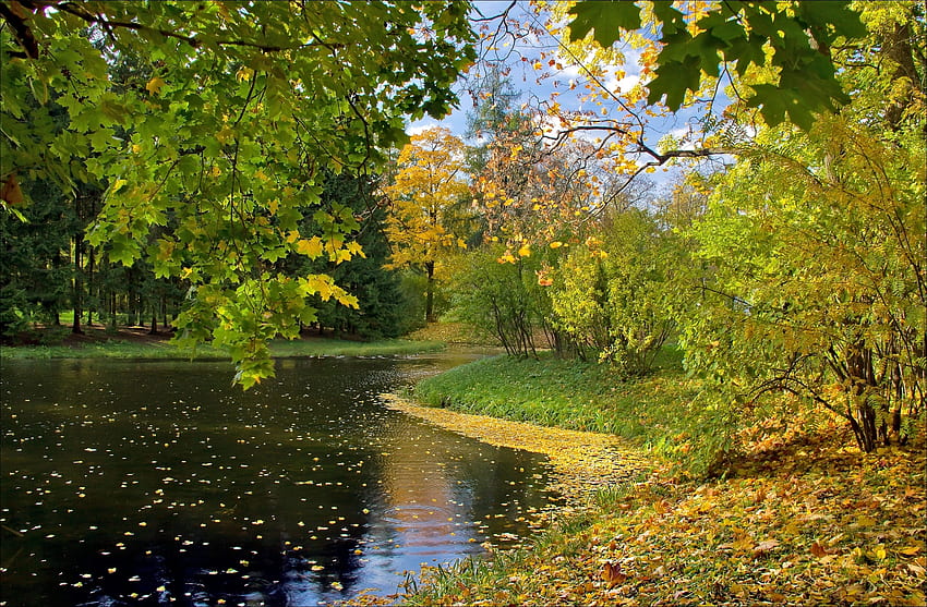 자연, 가을, 나뭇잎, 호수 HD 월페이퍼