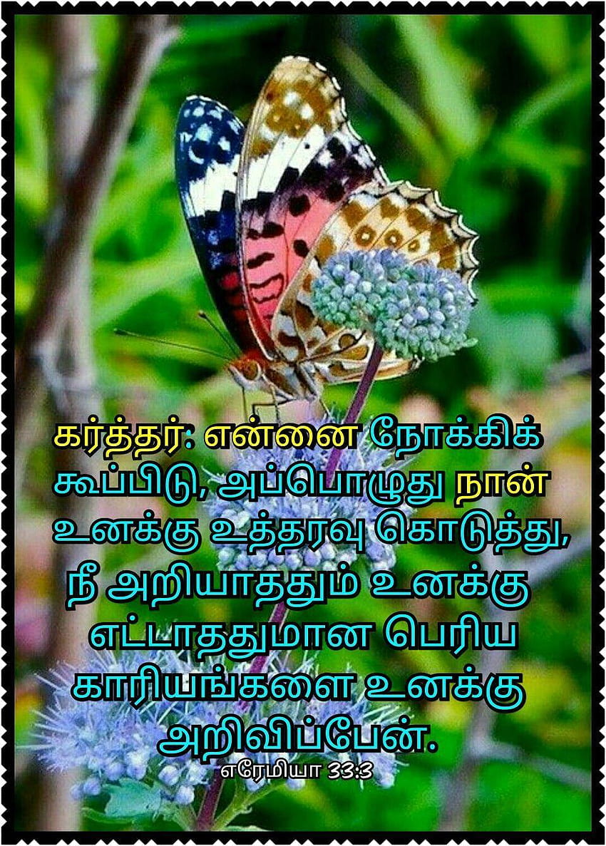 Bible Words Tamil - Bible Quote Tamil for Android - APK HD phone ...
