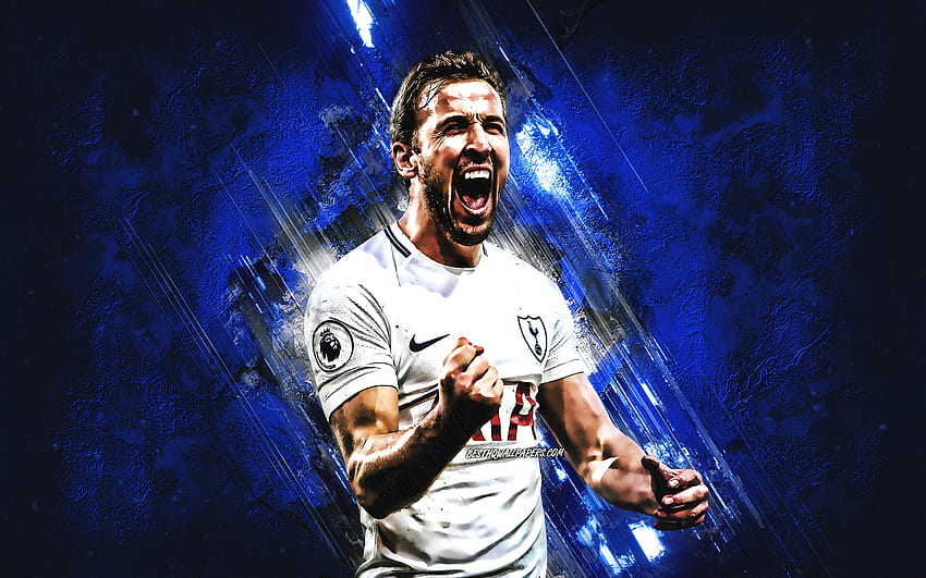 Harry Kane, spurs, fútbol, fútbol, tottenham, hotspur fondo de pantalla ...