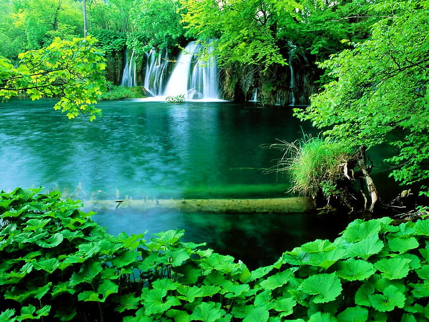 Nature, vert, fond de cascade, parc verdoyant Fond d'écran HD
