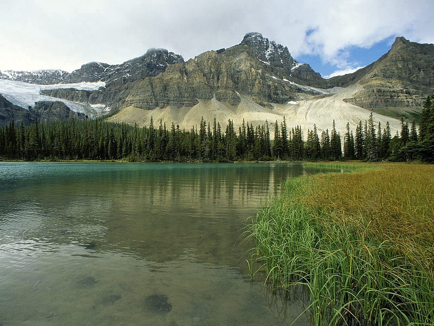 Doğa, Ağaçlar, Çimen, Dağlar, Göl, Kanada, Albert, Alberta, Buzul Gölü HD duvar kağıdı