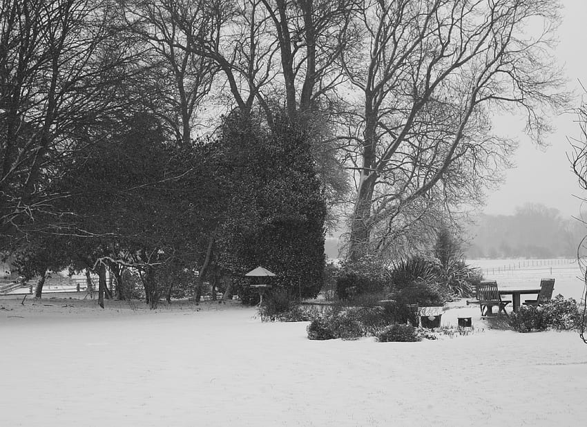 ฤดูหนาว ธรรมชาติ ต้นไม้ สวนสาธารณะ โต๊ะ หิมะตก วอลล์เปเปอร์ HD