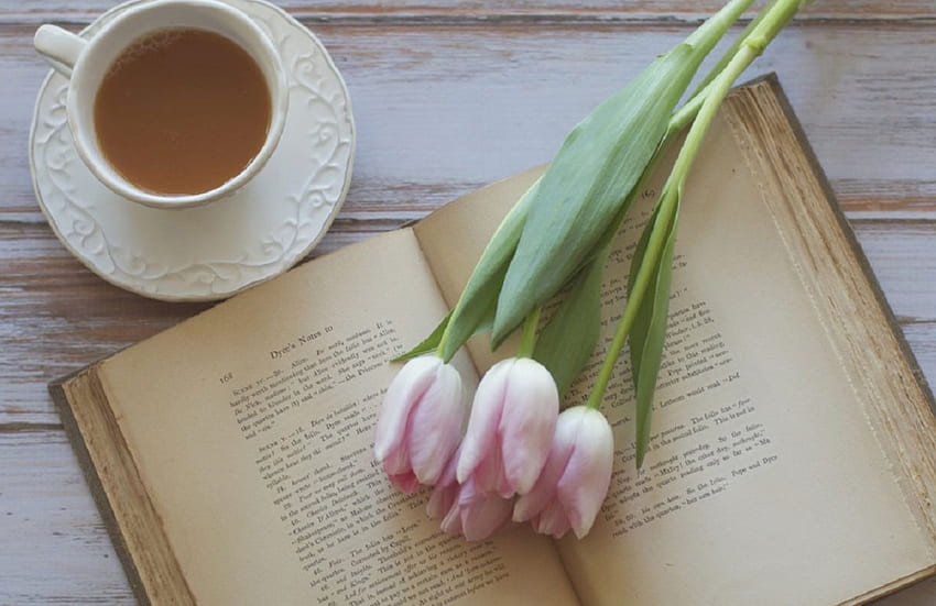 still life, book, teacup, tea, tulips, spring HD wallpaper