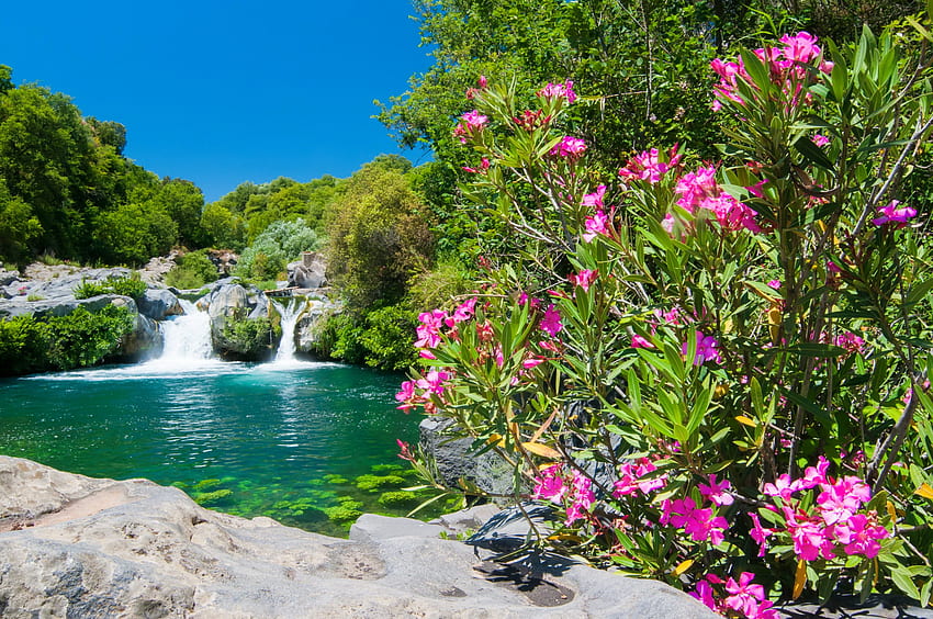 เขตสงวนแม่น้ำอัลคันทารา แม่น้ำ ต้นไม้ งดงาม ต้นยี่โถ อิตาลี ซิซิลี อุทยาน ทะเลสาบ สำรอง ฤดูร้อน น้ำตก วิว ดอกไม้ สระว่ายน้ำ บ่อน้ำ วอลล์เปเปอร์ HD