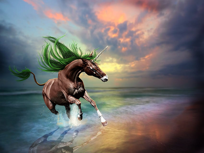 Unicorn • Creative design , brown unicorn , beach, sunset • For You The Best For & Mobile, Pastel Beach Sunset HD wallpaper