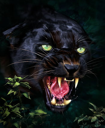Free download Angry Black Panther Animal Wallpapers Top Free Angry Black  [1024x768] for your Desktop, Mobile & Tablet | Explore 43+ Angry Backgrounds  | Angry Beavers Wallpaper, Angry Bird Wallpaper, Angry Birds Wallpaper HD