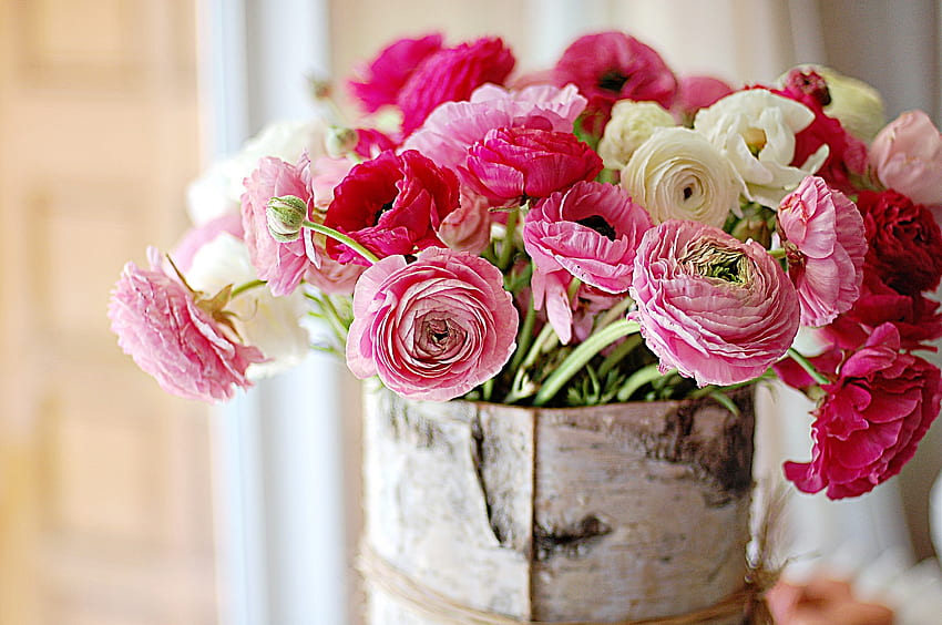 Buket ranunculus, ranunculus, bunga, karangan bunga, merah muda, ember, musim semi Wallpaper HD