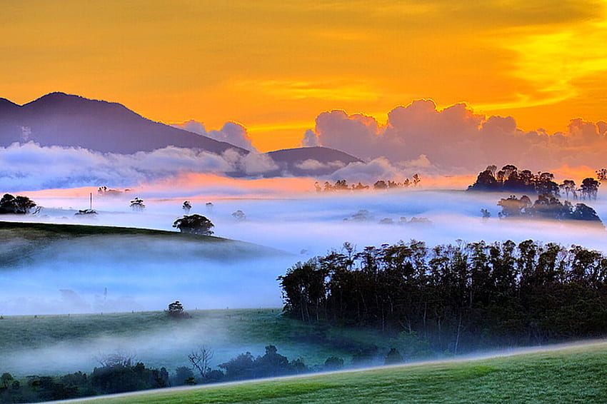 Mañana apagada, colinas, cielo dorado, nubes, árboles, hierba, montañas, nieblas, amanecer fondo de pantalla