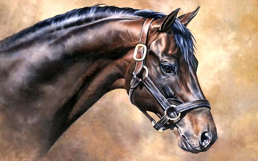疑惑 - Horse F2, 動物, 馬, レース, アート, thorobred, 頭, アートワーク, ワイド スクリーン, 絵画, ウマ, 競走馬, サラブレッド 高画質の壁紙