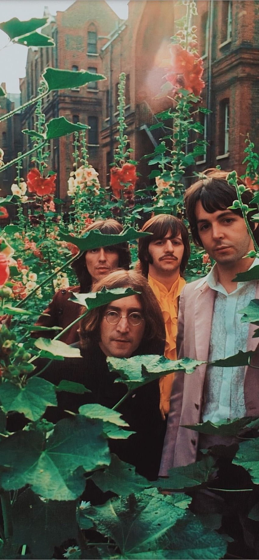 The Beatles, rock, verde, música, trippy, naturaleza, vintage, guay, retro, 60s, 70s fondo de pantalla del teléfono