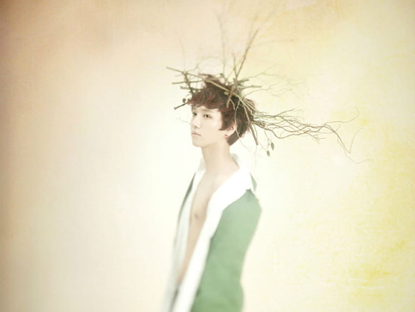 Best Korean Art : Super Junior Yesung HD wallpaper