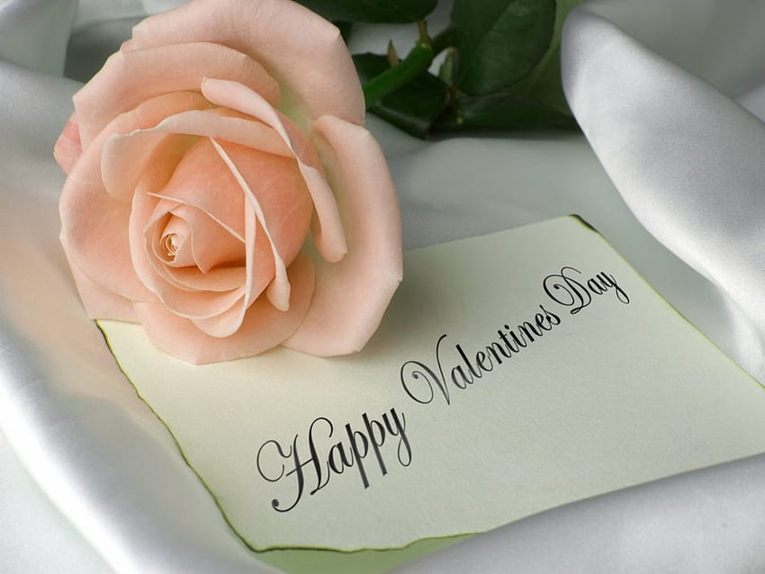Happy Valentines Day friends, rose, salutation, rose, Saint Valentin Fond d'écran HD