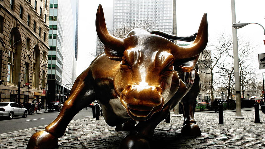 Wall Street Bull, Bull and Bear HD wallpaper
