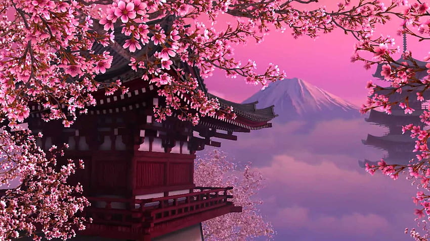 japanese garden, Zen Cherry Blossom HD wallpaper