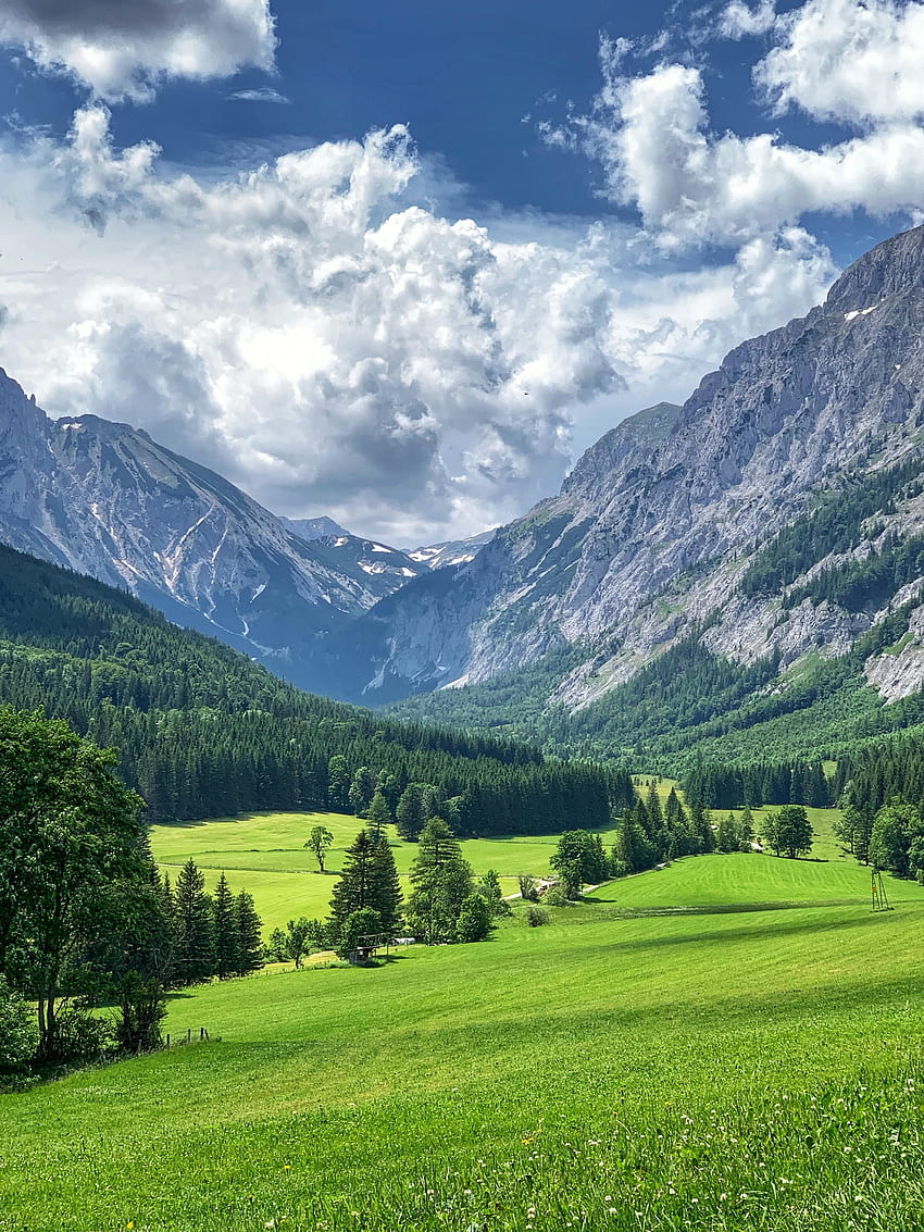風景, 自然, 木, 草, 山, 谷 HD電話の壁紙