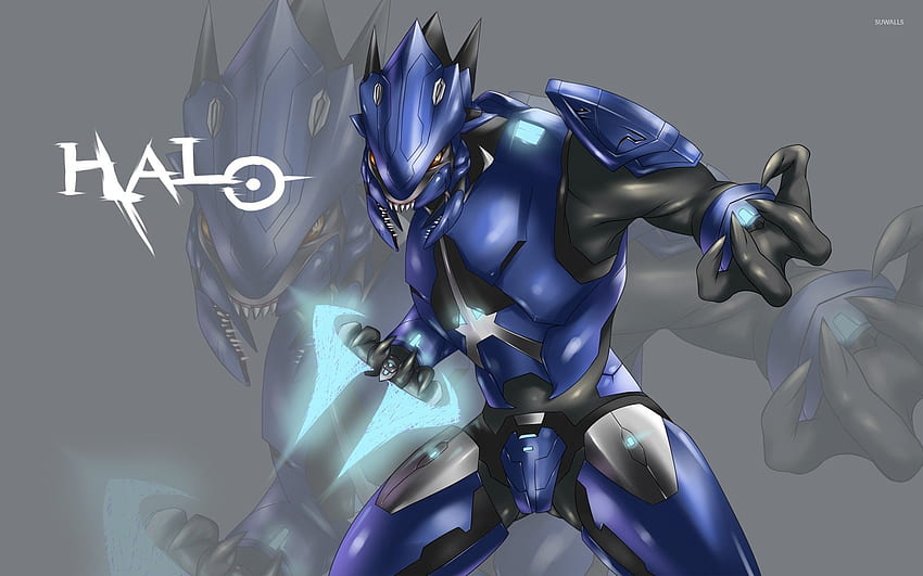 Halo Elite Halo Covenant wallpaper | Pxfuel