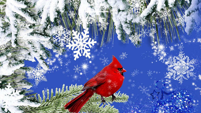Inverno, blu, inverno, uccello, personaggio firefox, pupazzo di neve, fiocchi di neve, neve, alberi, cielo, cardinale Sfondo HD