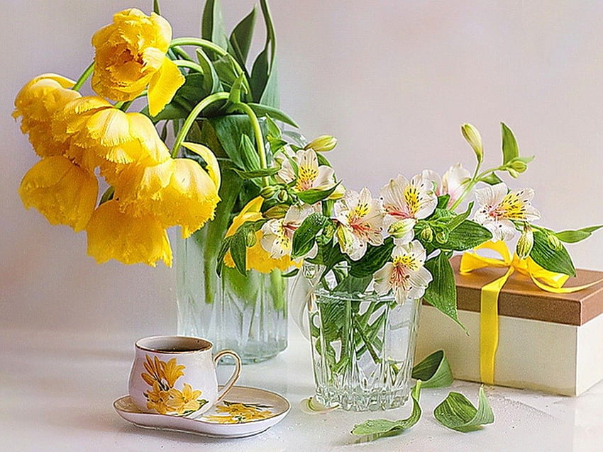 Жълти лалета, чай, цветя, пролет, лалета, красота, венчелистчета, кафе, ваза, чаша, прясно, натюрморт, кутия, свежест, жълто, природа, цветя, прекрасно HD тапет
