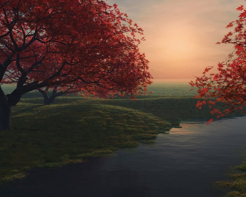 Nice, arbres, eau, rouge Fond d'écran HD