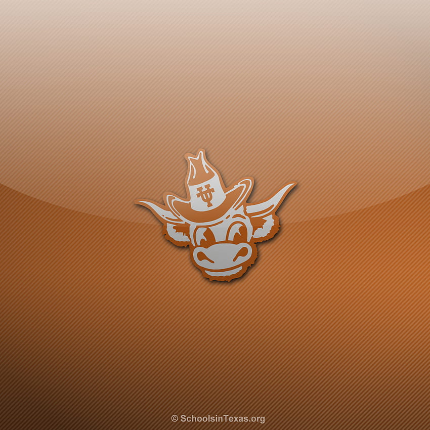 Texas Longhorns Logo, Texas Longhorns Football HD phone wallpaper