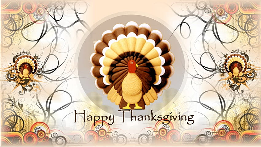Happy Turkey Thanksgiving, Animals, Happy, Turkey, Thanksgiving, Birds HD wallpaper