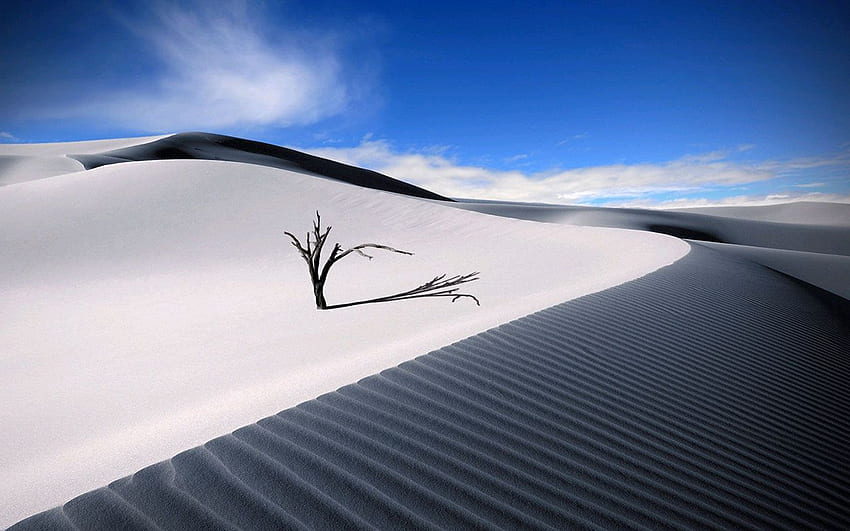 Desolate desert scenery 2 － Landscape HD wallpaper | Pxfuel