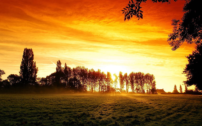 Nature, Trees, Sunset, Shine, Light, Field, Glow, Haze, Steam, Arable Land HD wallpaper