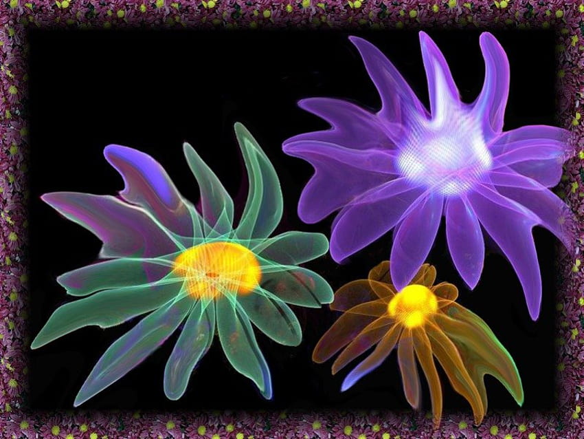 kwiaty oszalały, kolory, neon, dziki, kwiat Tapeta HD
