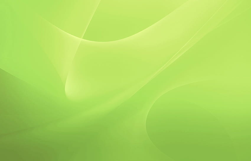 Light Green Color - Light Green Colour Background - & Background HD  wallpaper | Pxfuel