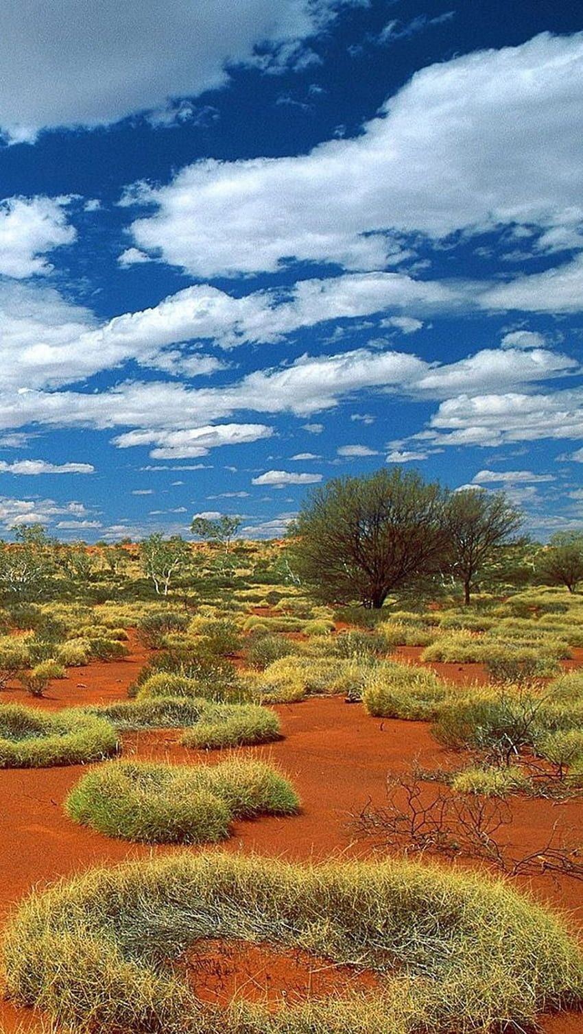 Little Sandy Desert, Bioregion, Australia: - PixoHub. Australia , Australian desert, Australia travel, Desert River HD phone wallpaper