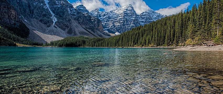 lago limpio, cordillera, árboles, naturaleza, - parque nacional de banff - -, 2560 x 1080 fondo de pantalla