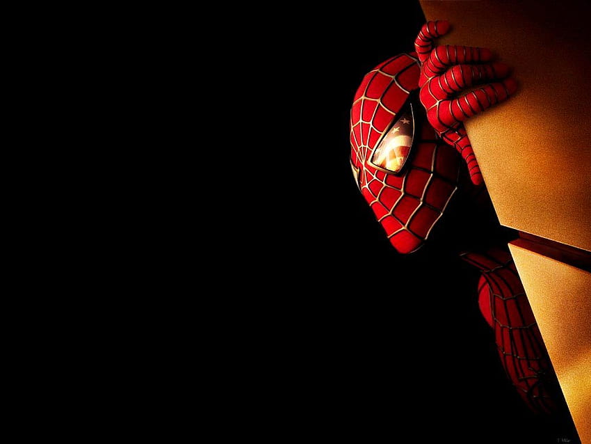 Spiderman Background Spiderman Face of Having Fun HD wallpaper
